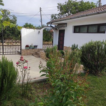 Studio Oasis-Shabla Ngoại thất bức ảnh