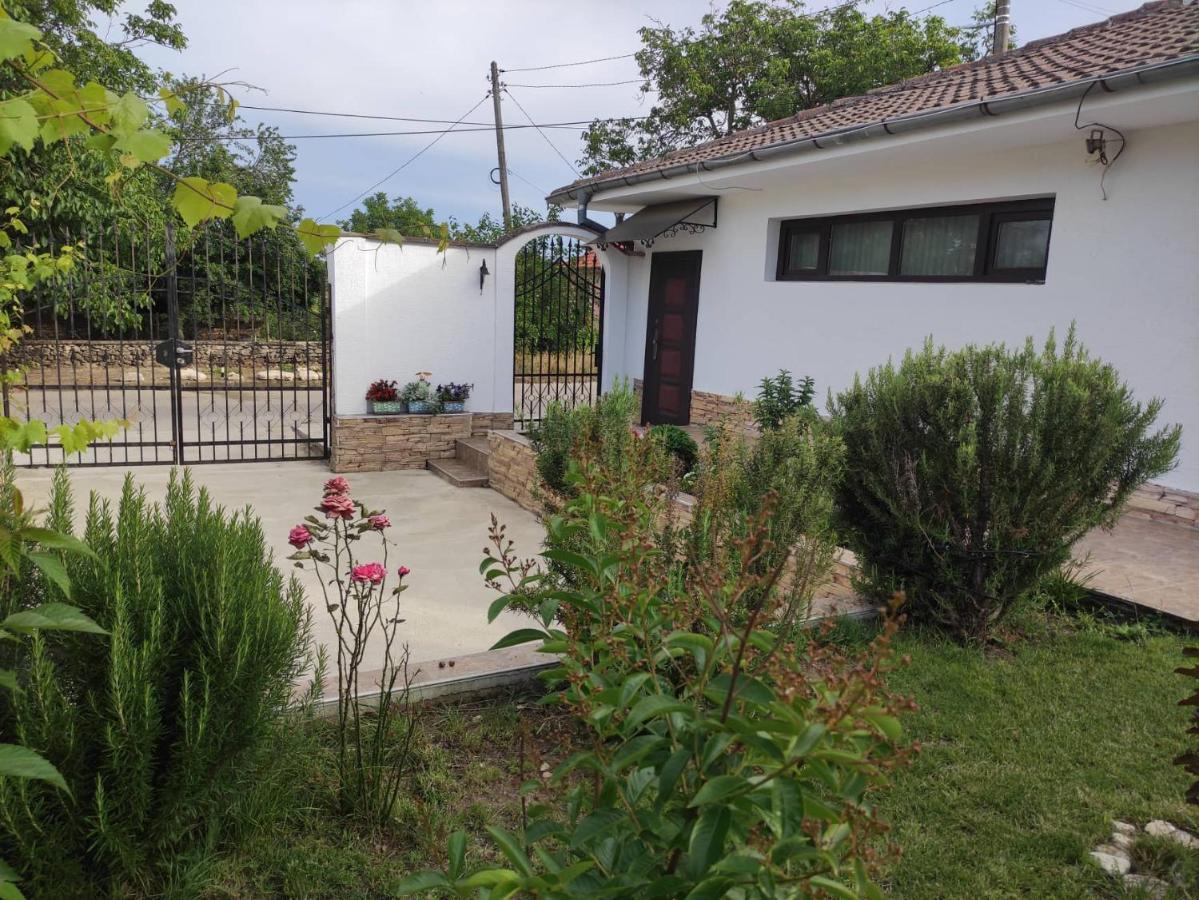 Studio Oasis-Shabla Ngoại thất bức ảnh